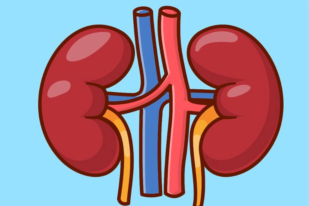 Modern Healthcare Facility